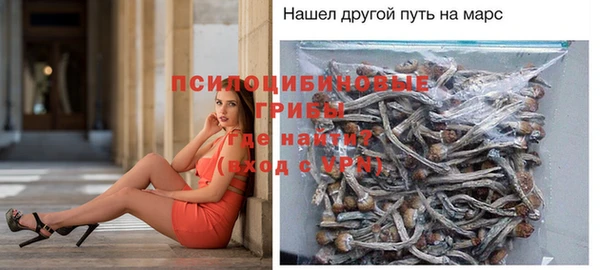 ECSTASY Абинск
