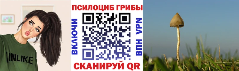 Галлюциногенные грибы Psilocybe  дарнет шоп  Азов 